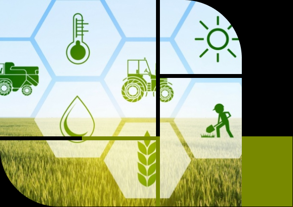 O <strong>Construindo o Futuro</strong> é o projeto que dá identidade ao novo planejamento estratégico da Cooperativa Tritícola Sepeense Ltda